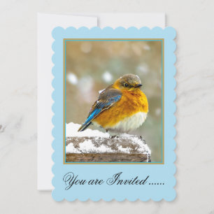 Eastern Bluebird in Snow - Original Foto Einladung