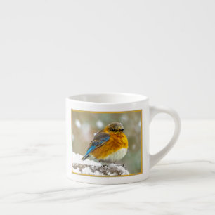 Eastern Bluebird in Snow - Original Foto Espressotasse