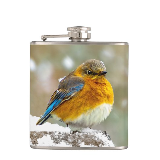 Eastern Bluebird in Snow - Original Foto Flachmann (Vorderseite)