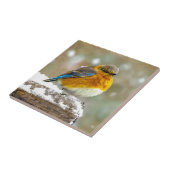 Eastern Bluebird in Snow - Original Foto Fliese (Seite)