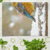 Eastern Bluebird in Snow - Original Foto Geschirrtuch (Gefaltet)