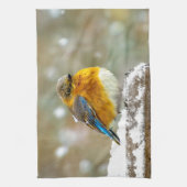 Eastern Bluebird in Snow - Original Foto Geschirrtuch (Vertikal)
