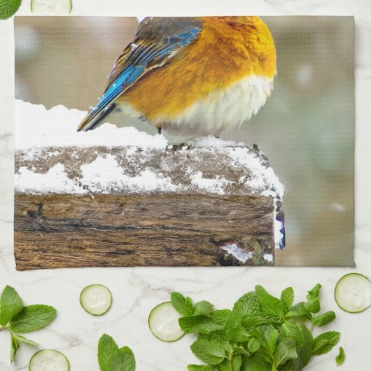 Eastern Bluebird in Snow - Original Foto Geschirrtuch (Gefaltet)