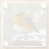 Eastern Bluebird in Snow - Original Foto Glasuntersetzer (Rückseite)