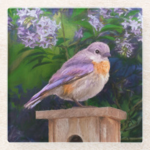 Eastern Bluebird in Snow - Original Foto Glasuntersetzer