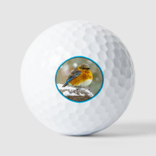 Eastern Bluebird in Snow - Original Foto Golfball (Vorderseite)