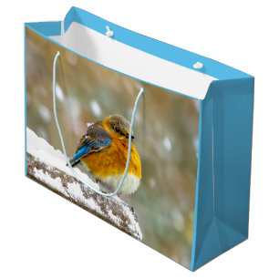 Eastern Bluebird in Snow - Original Foto Große Geschenktüte