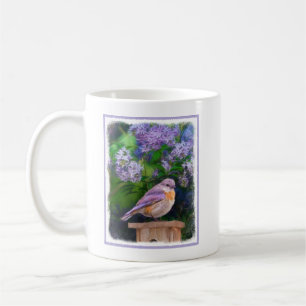 Eastern Bluebird in Snow - Original Foto Kaffeetasse