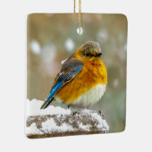 Eastern Bluebird in Snow - Original Foto Keramikornament (Rechts)