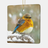 Eastern Bluebird in Snow - Original Foto Keramikornament (Links)
