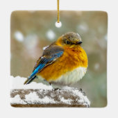 Eastern Bluebird in Snow - Original Foto Keramikornament (Rückseite)