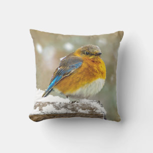 Eastern Bluebird in Snow - Original Foto Kissen