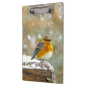 Eastern Bluebird in Snow - Original Foto Klemmbrett (Links)