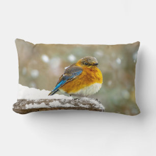 Eastern Bluebird in Snow - Original Foto Lendenkissen