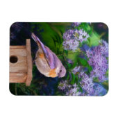 Eastern Bluebird in Snow - Original Foto Magnet (Horizontal)