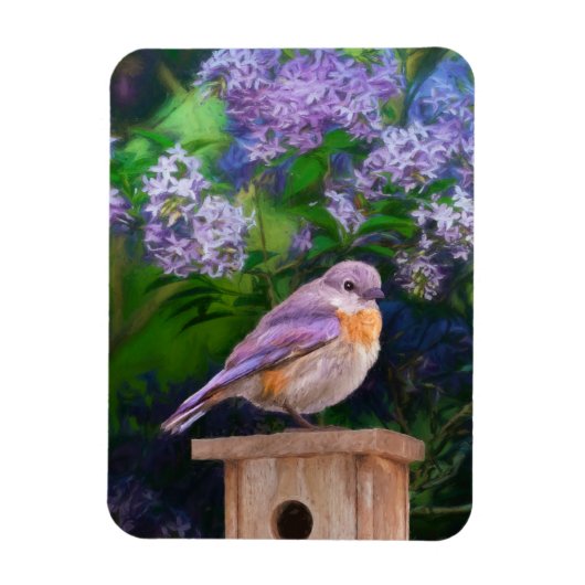 Eastern Bluebird in Snow - Original Foto Magnet (Vertikal)