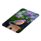 Eastern Bluebird in Snow - Original Foto Magnet (Linke Seite)