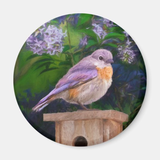 Eastern Bluebird in Snow - Original Foto Magnet (Vorne)