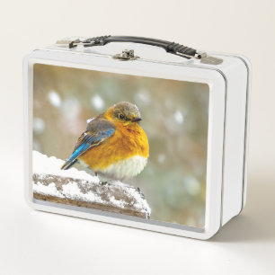Eastern Bluebird in Snow - Original Foto Metall Brotdose