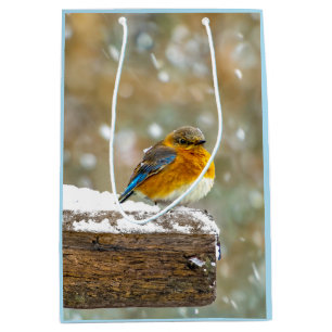 Eastern Bluebird in Snow - Original Foto Mittlere Geschenktüte