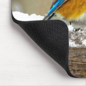 Eastern Bluebird in Snow - Original Foto Mousepad (Ecke)