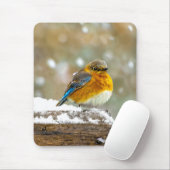 Eastern Bluebird in Snow - Original Foto Mousepad (Mit Mouse)