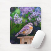 Eastern Bluebird in Snow - Original Foto Mousepad (Mit Mouse)