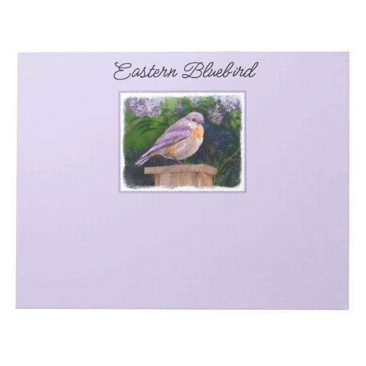 Eastern Bluebird in Snow - Original Foto Notizblock (Vorderseite)