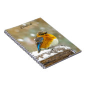Eastern Bluebird in Snow - Original Foto Notizblock (Rechte Seite)
