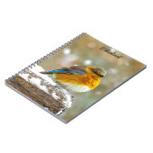 Eastern Bluebird in Snow - Original Foto Notizblock (Linke Seite)