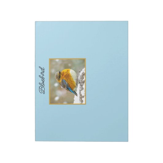 Eastern Bluebird in Snow - Original Foto Notizblock (Rotiert)