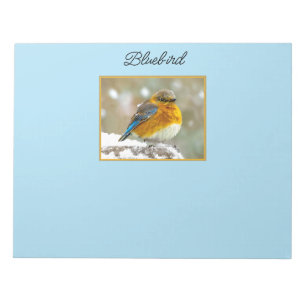 Eastern Bluebird in Snow - Original Foto Notizblock
