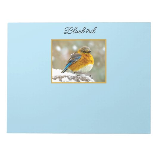 Eastern Bluebird in Snow - Original Foto Notizblock (Vorderseite)
