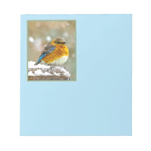 Eastern Bluebird in Snow - Original Foto Notizblock (Vorderseite)