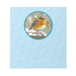 Eastern Bluebird in Snow - Original Foto Notizblock