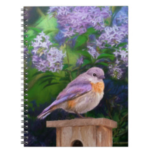 Eastern Bluebird in Snow - Original Foto Notizblock