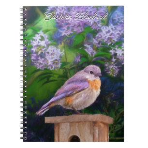 Eastern Bluebird in Snow - Original Foto Notizblock