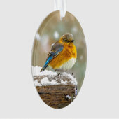 Eastern Bluebird in Snow - Original Foto Ornament (Vorderseite)