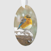 Eastern Bluebird in Snow - Original Foto Ornament (Vorderseite)