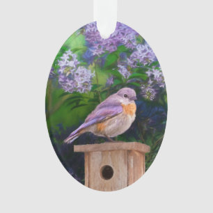 Eastern Bluebird in Snow - Original Foto Ornament
