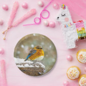 Eastern Bluebird in Snow - Original Foto Pappteller (Party)