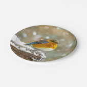 Eastern Bluebird in Snow - Original Foto Pappteller (Schrägansicht)