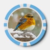 Eastern Bluebird in Snow - Original Foto Pokerchips (Vorderseite)