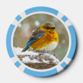 Eastern Bluebird in Snow - Original Foto Pokerchips (Rückseite)