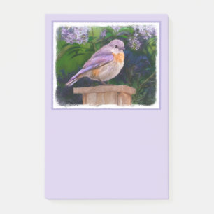 Eastern Bluebird in Snow - Original Foto Post-it Klebezettel