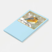 Eastern Bluebird in Snow - Original Foto Post-it Klebezettel (angewinkelt)