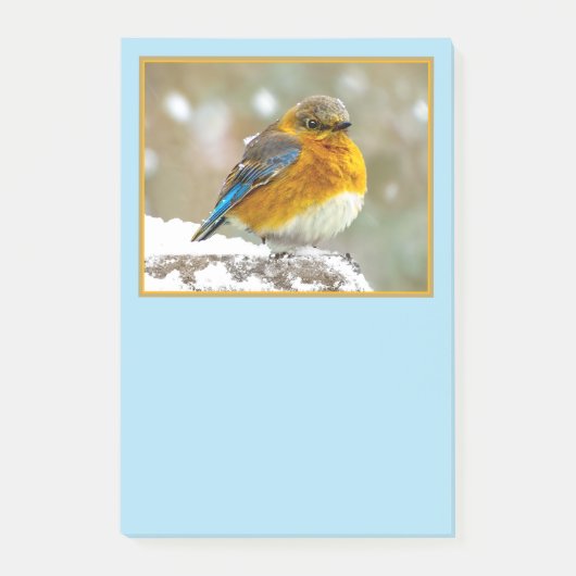 Eastern Bluebird in Snow - Original Foto Post-it Klebezettel (Vorderseite)