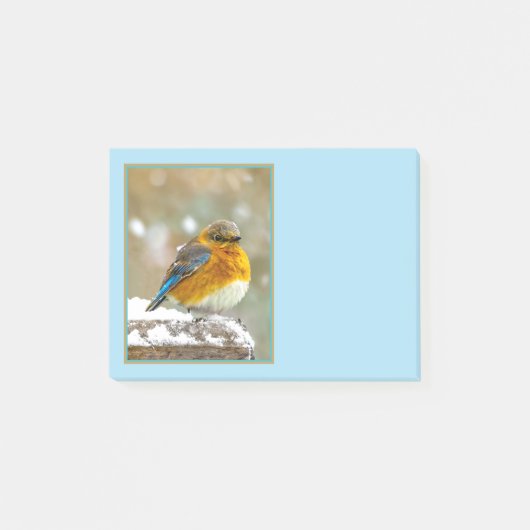 Eastern Bluebird in Snow - Original Foto Post-it Klebezettel (Vorderseite)