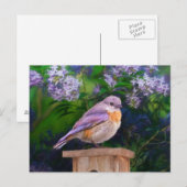 Eastern Bluebird in Snow - Original Foto Postkarte (Vorne/Hinten)