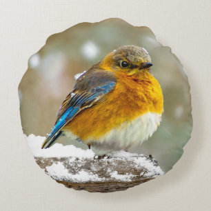 Eastern Bluebird in Snow - Original Foto Rundes Kissen